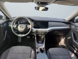Skoda Octavia bei Reisemobile.expert - Abbildung (8 / 15)