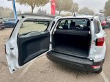 Ford EcoSport bei Reisemobile.expert - Abbildung (8 / 15)