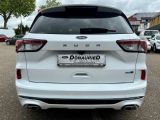 Ford Kuga bei Reisemobile.expert - Abbildung (5 / 15)