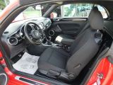 VW Beetle bei Reisemobile.expert - Abbildung (7 / 15)