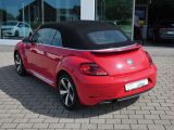 VW Beetle bei Reisemobile.expert - Abbildung (5 / 15)