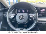 Skoda Octavia bei Reisemobile.expert - Abbildung (13 / 15)