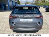 Skoda Octavia bei Reisemobile.expert - Abbildung (8 / 15)