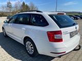 Skoda Octavia bei Reisemobile.expert - Abbildung (5 / 15)