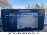 Dacia Stepway bei Reisemobile.expert - Abbildung (13 / 15)
