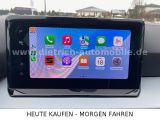 Seat Ibiza bei Reisemobile.expert - Abbildung (11 / 15)