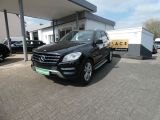 Mercedes-Benz M-Klasse bei Reisemobile.expert - Abbildung (4 / 15)