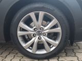 Mazda CX-30 bei Reisemobile.expert - Abbildung (8 / 15)