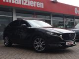 Mazda CX-30 bei Reisemobile.expert - Abbildung (6 / 15)