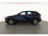Mazda CX-30 bei Reisemobile.expert - Abbildung (2 / 15)