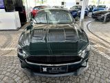 Ford Mustang bei Reisemobile.expert - Abbildung (2 / 10)