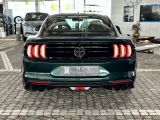 Ford Mustang bei Reisemobile.expert - Abbildung (6 / 10)