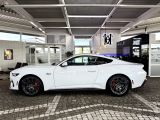 Ford Mustang bei Reisemobile.expert - Abbildung (6 / 10)
