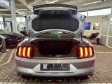 Ford Mustang bei Reisemobile.expert - Abbildung (9 / 10)