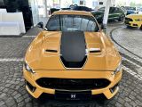 Ford Mustang bei Reisemobile.expert - Abbildung (2 / 10)