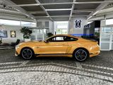 Ford Mustang bei Reisemobile.expert - Abbildung (5 / 10)