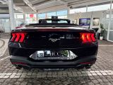 Ford Mustang bei Reisemobile.expert - Abbildung (5 / 10)