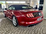 Ford Mustang bei Reisemobile.expert - Abbildung (6 / 10)
