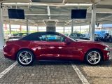 Ford Mustang bei Reisemobile.expert - Abbildung (5 / 10)