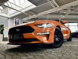 Ford Mustang bei Reisemobile.expert - Abbildung (10 / 10)