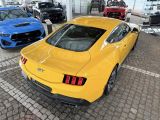 Ford Mustang bei Reisemobile.expert - Abbildung (7 / 10)