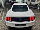 Ford Mustang bei Reisemobile.expert - Abbildung (7 / 10)