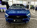 Ford Mustang bei Reisemobile.expert - Abbildung (6 / 10)