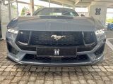 Ford Mustang bei Reisemobile.expert - Abbildung (2 / 10)