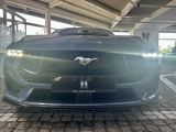 Ford Mustang bei Reisemobile.expert - Abbildung (7 / 10)
