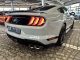 Ford Mustang bei Reisemobile.expert - Abbildung (5 / 10)