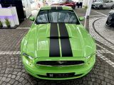 Ford Mustang bei Reisemobile.expert - Abbildung (4 / 10)