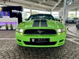 Ford Mustang bei Reisemobile.expert - Abbildung (3 / 10)