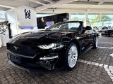 Ford Mustang bei Reisemobile.expert - Abbildung (5 / 10)