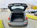 Mercedes-Benz B-Klasse bei Reisemobile.expert - Abbildung (7 / 15)