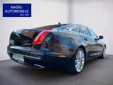 Jaguar XJ bei Reisemobile.expert - Abbildung (7 / 15)
