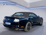 Ford Mustang bei Reisemobile.expert - Abbildung (3 / 8)