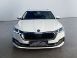 Skoda Octavia bei Reisemobile.expert - Abbildung (6 / 15)