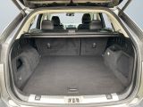 Ford Edge bei Reisemobile.expert - Abbildung (14 / 15)