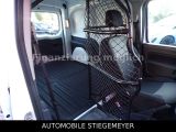 Renault Kangoo bei Reisemobile.expert - Abbildung (11 / 12)