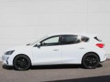 Ford Focus bei Reisemobile.expert - Abbildung (7 / 15)