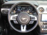 Ford Mustang bei Reisemobile.expert - Abbildung (12 / 15) Ford Mustang bei Reisemobile.expert - Abbildung (12 / 15)