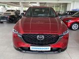 Mazda CX 5 bei Reisemobile.expert - Abbildung (14 / 15)