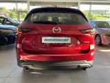 Mazda CX 5 bei Reisemobile.expert - Abbildung (13 / 15)