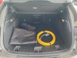 Alfa Romeo Tonale bei Reisemobile.expert - Abbildung (7 / 15)