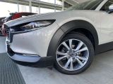 Mazda CX-30 bei Reisemobile.expert - Abbildung (4 / 15)