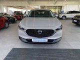 Mazda CX-30 bei Reisemobile.expert - Abbildung (14 / 15)