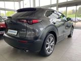 Mazda CX-30 bei Reisemobile.expert - Abbildung (2 / 15)