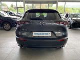 Mazda CX-30 bei Reisemobile.expert - Abbildung (13 / 15)