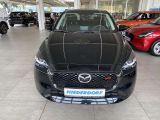 Mazda 2 bei Reisemobile.expert - Abbildung (14 / 15)