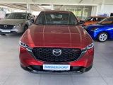 Mazda CX 5 bei Reisemobile.expert - Abbildung (14 / 15)